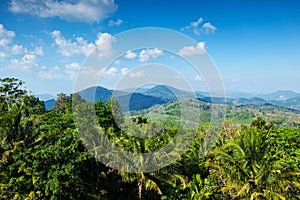 Tropical landscape with mountains