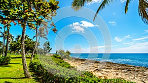 Tropical landscape and ocean view at the Ko Olina Lagoons