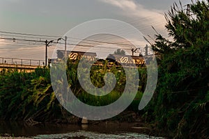 Tropical landscape with old trains