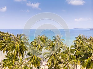 Tropical landscape with palm trees on the beach and blue sea, aerial view from drone of exotic bay, paradise summer vacation