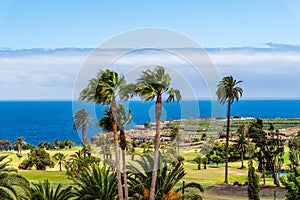 Tropical landscape with palm trees, a green meadow and the blue sea in the background