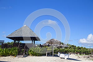 Tropical landscape with palm trees under a blue sky.