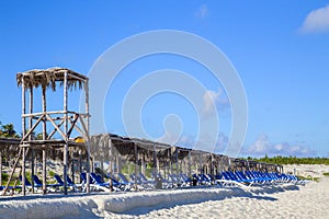 Tropical landscape with palm trees under a blue sky.