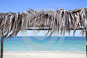 Tropical landscape with palm trees under a blue sky.