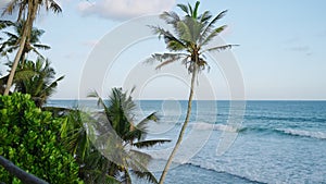 Tropical landscape of paradise island in the evening with coconut palm trees in foreground and blue wavy ocean in