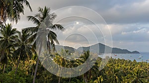 Tropical Landscape Of Paradise Koh Tao Island In The Morning