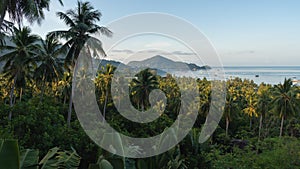 Tropical landscape of paradise Koh Tao island in the morning. Palm trees and sunlight at dawn time lapse of thai nature