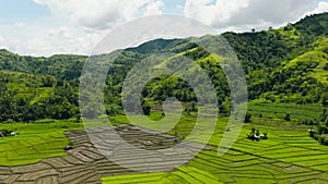 Tropical landscape in the Philippines.