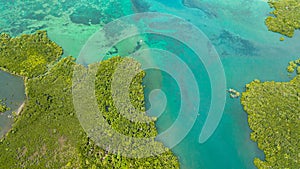 Tropical landscape in the Philippines.