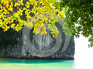Tropical landscape. Railay beach, Krabi, Thailand