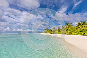 Tropical landscape of summer scenic sea sand sky palm trees. Exotic beach landscape. Amazing nature, relax, freedom travel