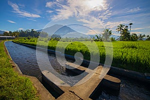 Tropical landscape during sunrise. Scenic view to Agung Volcano. River and rice fields in the village. Bali, Indonesia