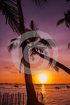 Tropical landscape at sunset. Palm trees on sky background. White beach. Boracay. Philippines.