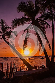 Tropical landscape at sunset. Palm trees on sky background. White beach. Boracay. Philippines.