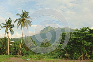 Tropical landscape photo