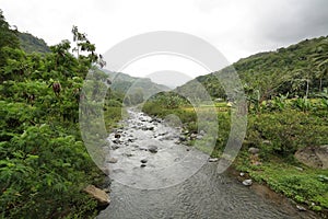 Tropical landscape in the way to Bajawa photo