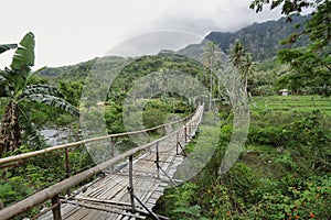 Tropical landscape in the way to Bajawa photo