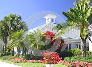 Tropical Landscaping