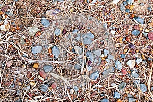 Tropical laterite soil or red earth background with gray rocks and dry dead plants