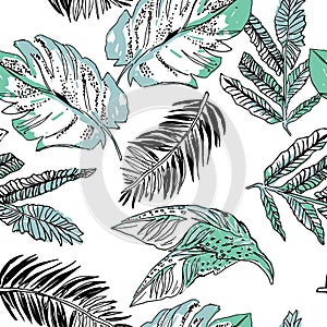 Tropical leaf pattern in line art style with light green color on white background.Sketch tropical background.