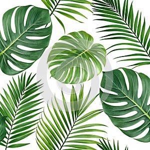 Tropical leaf patterns set isolated on white background
