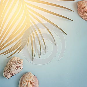 tropical leaf and seashells on a pastel blue background. Summer, fashion, minimal concept. Toned