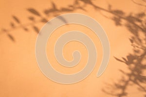 Tropical leaf shadow on orange beige paper background