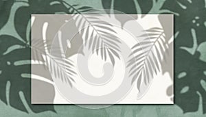 Tropical Leaf Shadow Overlay on Textured Background