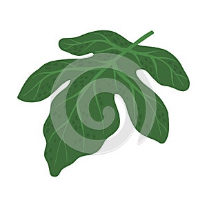 Tropical Leaf on Stem as Exotic Flora Vector Illustration