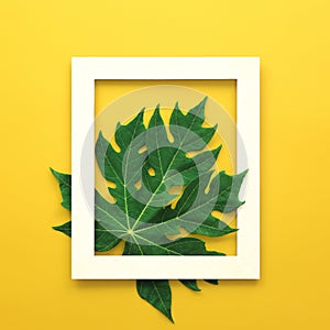 Tropical leaf in wooden picture frame