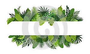 Tropical leafs concept banner, cartoon style photo