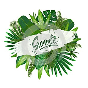 Tropical leaves around the sign summer on white background. Pattern nature.