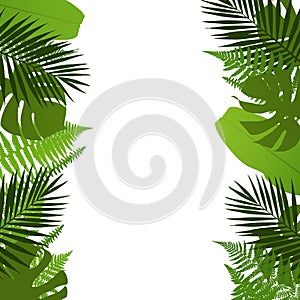 Tropical leaves background with palm,fern,monstera and banana leaves.