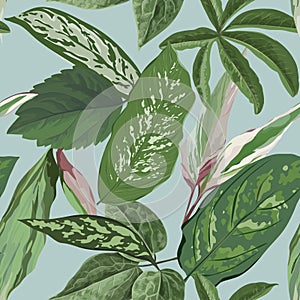 Tropical Leaves Background, Seamless Botanical Floral Pattern for cover, textile and fabric print