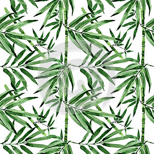 Tropical leaves bamboo tree pattern in a watercolor style.