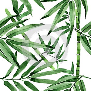 Tropical leaves bamboo tree pattern in a watercolor style.