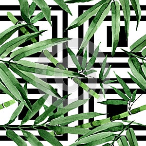 Tropical leaves bamboo tree pattern in a watercolor style.