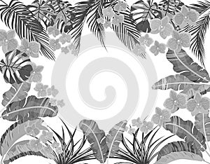 Tropical leaves of banana, coconut, monstera and ogawa, pink orchid in black and white version. Place for advertising