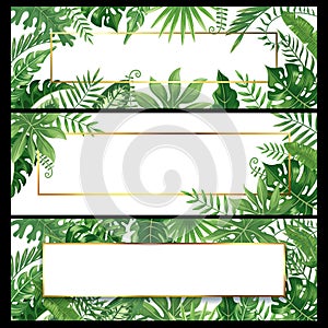 Tropical leaves banners. Exotic palm leaf banner, natural coconut palms branch frames and jungle plants vector background design