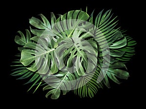 Tropical leaves on black background with copy space Summer banner