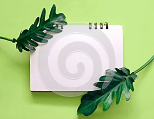 Tropical leaves with blank notebook