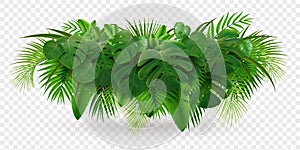 Tropical Leaves Bush Composition