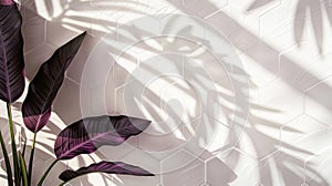 The Tropical Leaves and Shadow.AI generated image