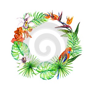 Tropical leaves, exotic birds, orchid flower. Floral wreath. Watercolor