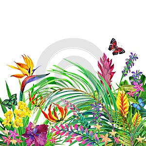 Tropical leaves and flowers background.