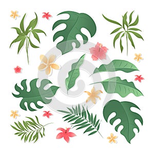 Tropical Leaves and Flowers for mid or end season event