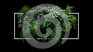 Tropical leaves foliage jungle plant bush foral arrangement nature backdrop with white frame on black background photo