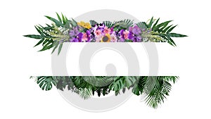 Tropical leaves foliage plant bush with colorful flowers floral arrangement nature frame banner on white background