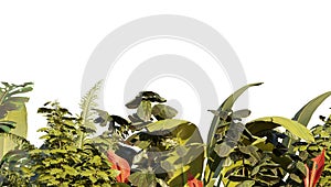 Tropical leaves foliage plant bush floral arrangement nature backdrop isolated on white background. 3d rendering.