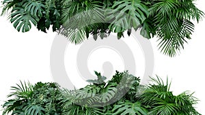 Tropical leaves foliage plant bush floral arrangement nature backdrop isolated on white background, clipping path included.